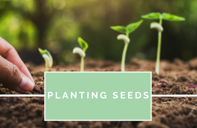 Planting Seeds